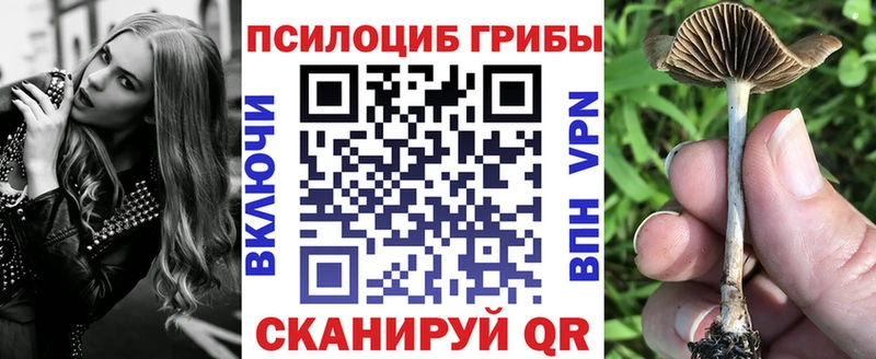 хочу наркоту  Красноуфимск  Псилоцибиновые грибы Psilocybe 